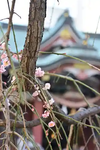 柏神社の自然