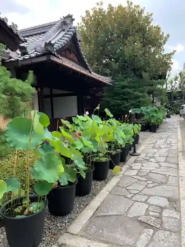 行願寺（革堂）のその他建物