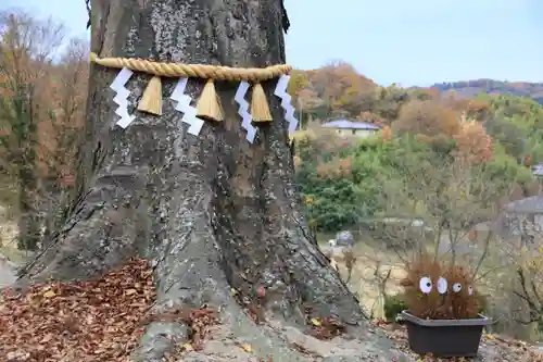 阿久津「田村神社」（郡山市阿久津町）旧社名：伊豆箱根三嶋三社の自然