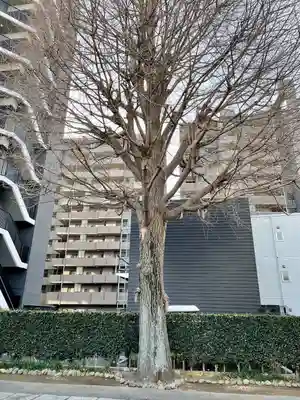 成就院(上寺)(埼玉県)