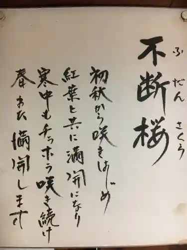 実光院(京都府)