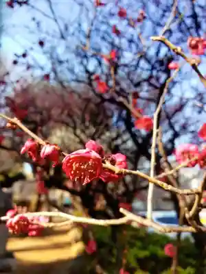 新井天神北野神社(東京都)