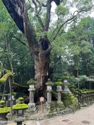 春日若宮神社のその他建物