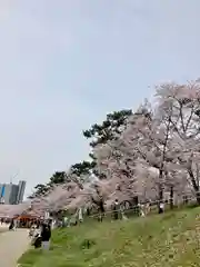 菅生神社の景色