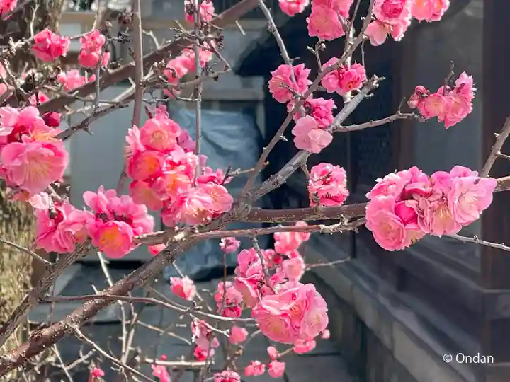下御霊神社(京都府)