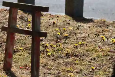 三坂稲荷神社の自然