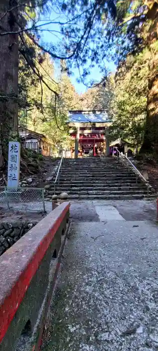 花園神社の鳥居