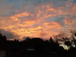 伏木香取神社(茨城県)(2023年11月04日(土) 15時43分12秒投稿)