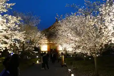 東寺（教王護国寺）(京都府)
