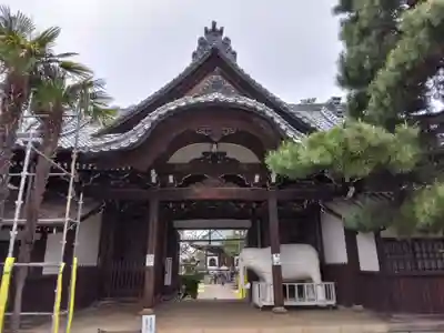 観音寺（世田谷山観音寺）(東京都)
