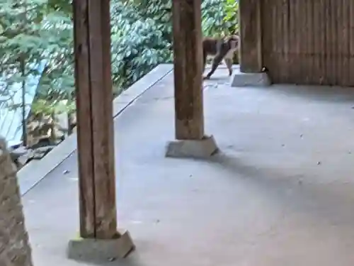 宇佐神社(香川県)