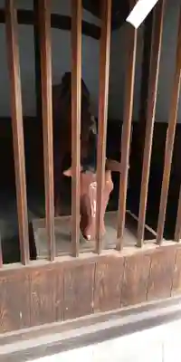 白山神社(木曽川町黒田)の狛犬