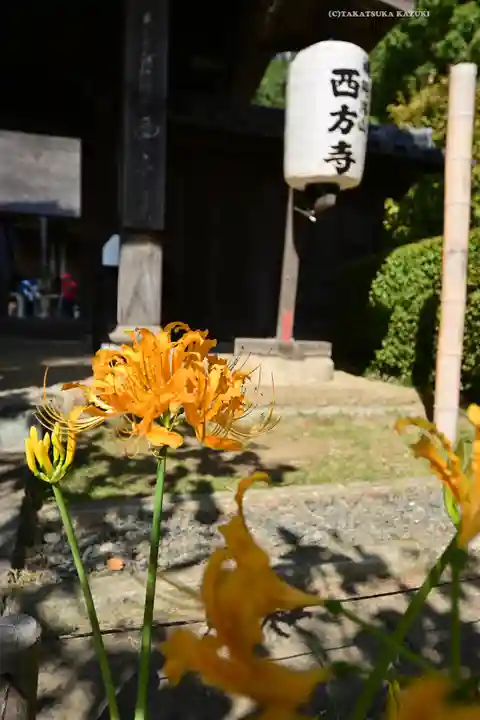 横浜 西方寺(神奈川県)