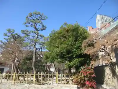 種徳寺(東京都)