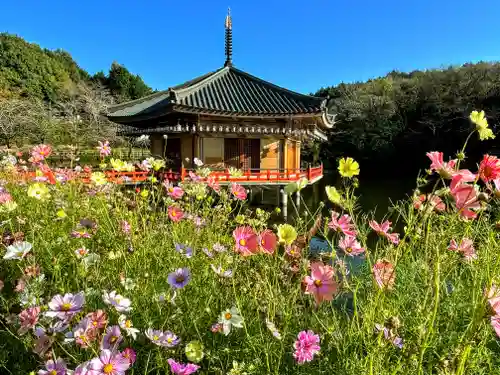 安倍文殊院 (奈良県)