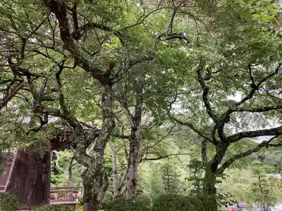 宝積山光前寺(長野県)