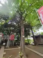 子易神社の自然