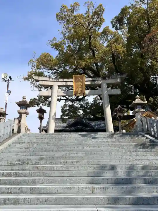 百舌鳥八幡宮の{uncategorized: "未分類", other: "その他", undefined: "問題あり", building: "その他建物", grave: "お墓", sacred_gate: "鳥居", guardian: "狛犬", statue: "像", buddha: "仏像", history: "歴史", nature: "自然", garden: "庭園", animal: "動物", pagoda: "塔", temizu: "手水舎", mountain_gate: "山門・神門", sanctuary: "本殿・本堂", subordinate: "末社・摂社", art: "芸術", scenery: "景色", jizo: "地蔵", ema: "絵馬", goshuin: "御朱印", omikuji: "おみくじ", items: "授与品その他", amulet: "お守り", goshuincho: "御朱印帳", eats: "食事", festival: "お祭り", votive_dance: "神楽", shichigosan: "七五三参", wedding: "結婚式", experience: "体験その他", initially: "初詣", around: "周辺", anti_infection: "感染症対策"}
