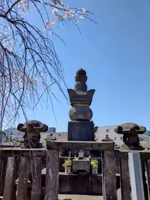 伝通院(東京都)