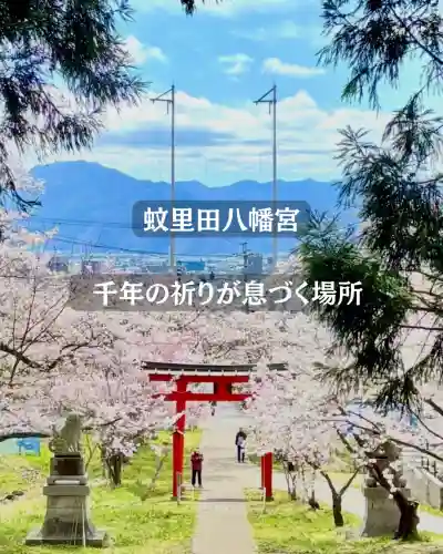 蚊里田八幡宮の{uncategorized: "未分類", other: "その他", undefined: "問題あり", building: "その他建物", grave: "お墓", sacred_gate: "鳥居", guardian: "狛犬", statue: "像", buddha: "仏像", history: "歴史", nature: "自然", garden: "庭園", animal: "動物", pagoda: "塔", temizu: "手水舎", mountain_gate: "山門・神門", sanctuary: "本殿・本堂", subordinate: "末社・摂社", art: "芸術", scenery: "景色", jizo: "地蔵", ema: "絵馬", goshuin: "御朱印", omikuji: "おみくじ", items: "授与品その他", amulet: "お守り", goshuincho: "御朱印帳", eats: "食事", festival: "お祭り", votive_dance: "神楽", shichigosan: "七五三参", wedding: "結婚式", experience: "体験その他", initially: "初詣", around: "周辺", anti_infection: "感染症対策"}