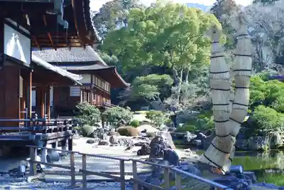 醍醐寺(京都府)