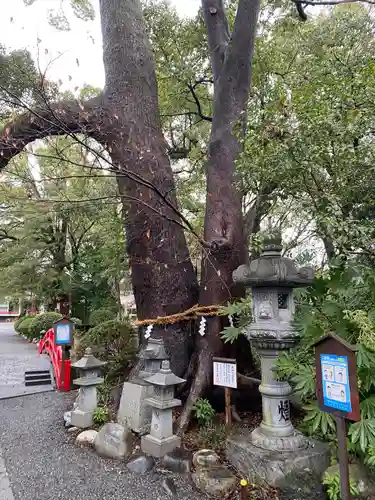 米之宮浅間神社(静岡県)