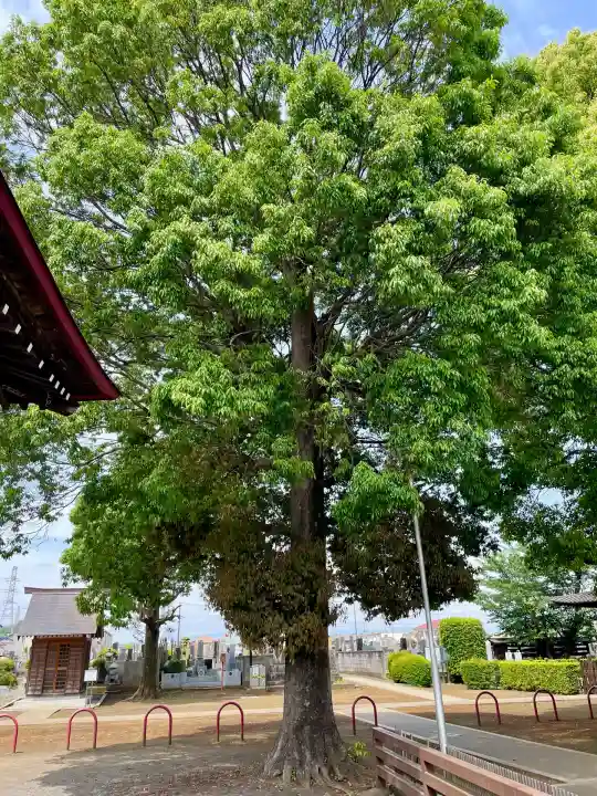 八坂神社(東京都)