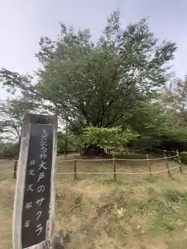 夷針神社(茨城県)