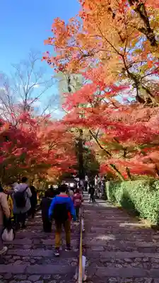 禅林寺(永観堂)(京都府)