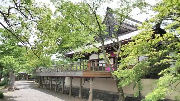 大覚寺の本殿・本堂