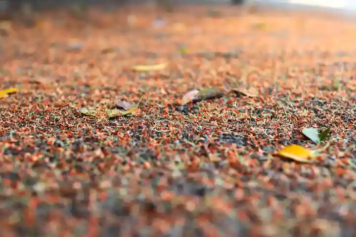 三津厳島神社(愛媛県)