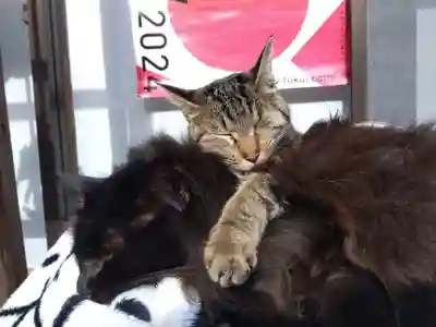 御誕生寺（猫寺）(福井県)