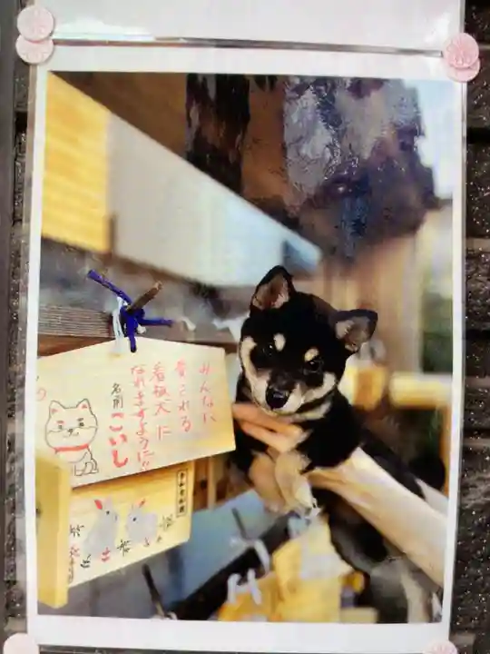 【閉業】小石川大神宮(東京都)