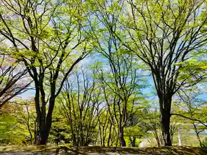 土津神社|こどもと出世の神さまの自然(2021年05月06日(木) 11時21分35秒投稿)