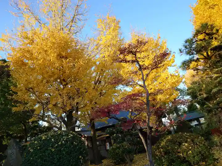 常葉神社(岐阜県)