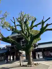 真清田神社の建物その他