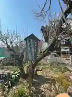 真福寺(奈良県)