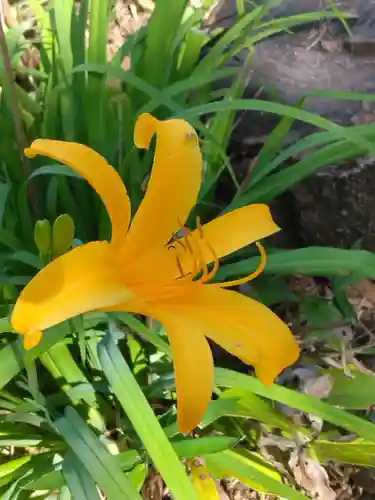 横浜　西方寺(神奈川県)