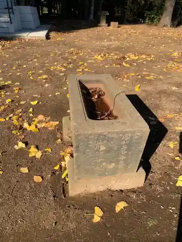 明治神宮の手水舎