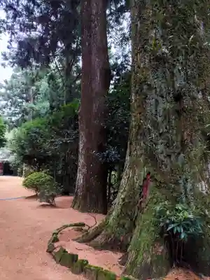 鶴林寺(徳島県)