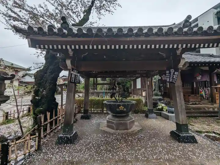 新井薬師(梅照院)(東京都)