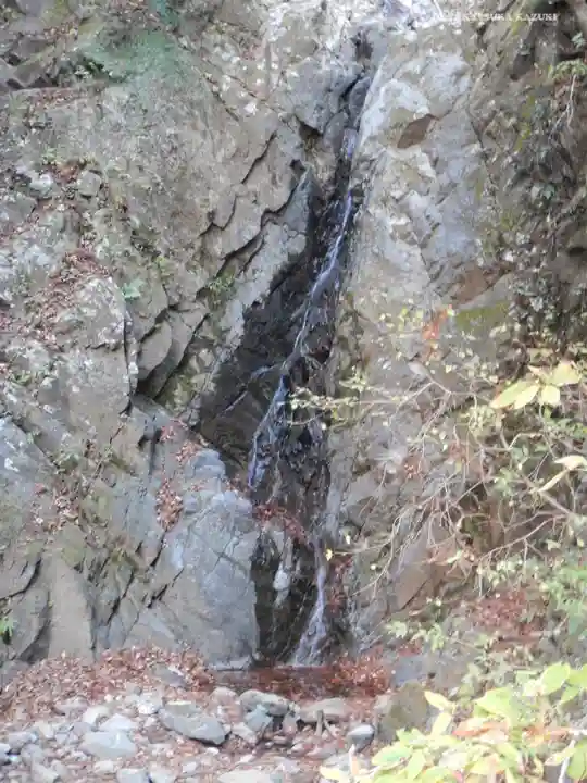 大山阿夫利神社本社の自然