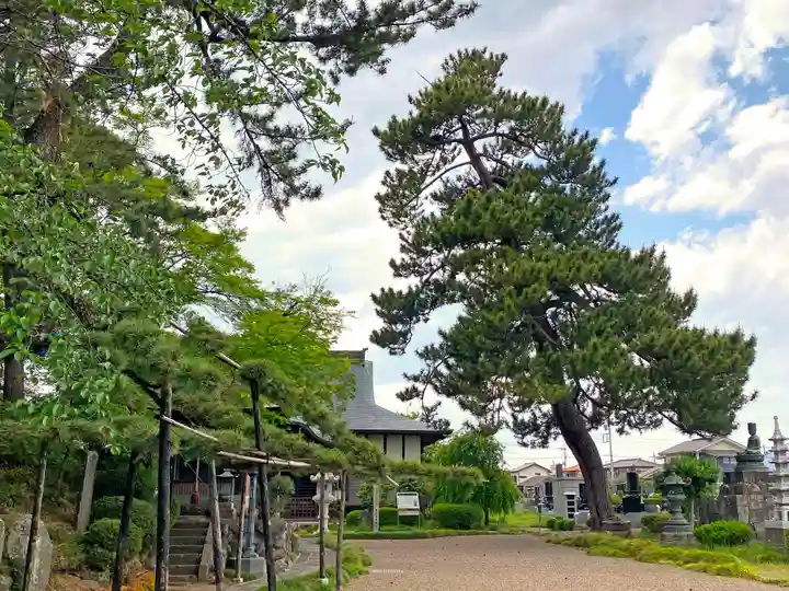 大徳寺のその他建物