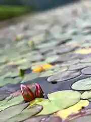 仁科神社(長野県)