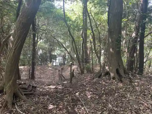 金比羅大権現(神奈川県)