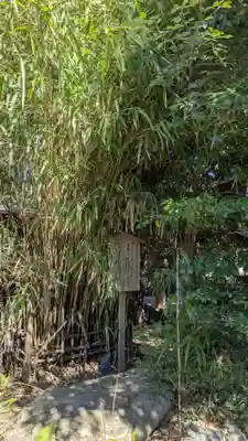 川越氷川神社(埼玉県)
