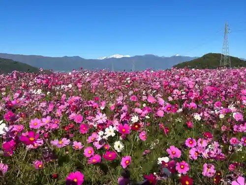 矢彦神社(長野県)