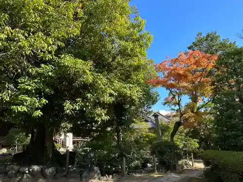 神光院(京都府)