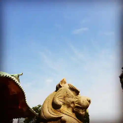 神田神社（神田明神）の狛犬