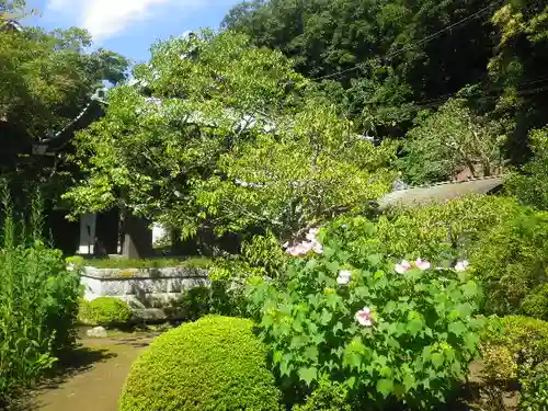 海蔵寺の庭園